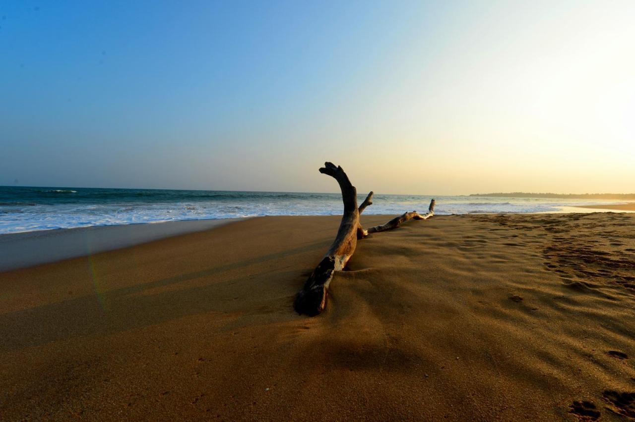 Helios Beach Resort تانجالي المظهر الخارجي الصورة