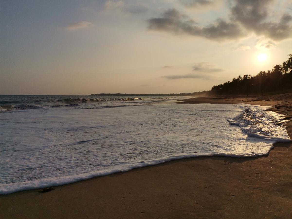 Helios Beach Resort تانجالي المظهر الخارجي الصورة