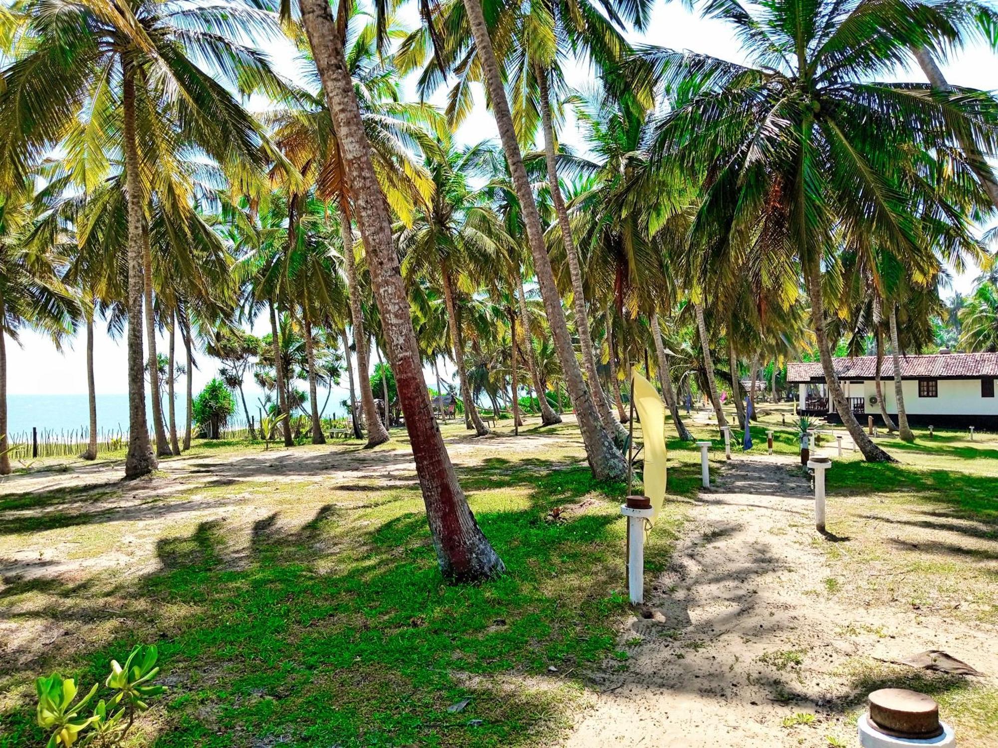 Helios Beach Resort تانجالي المظهر الخارجي الصورة