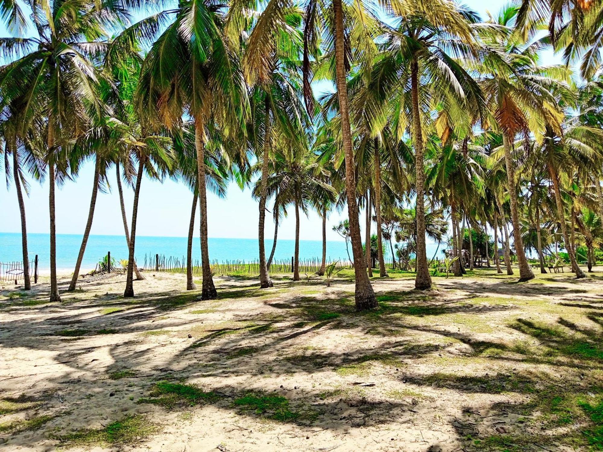 Helios Beach Resort تانجالي المظهر الخارجي الصورة